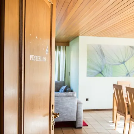 公寓 Haus Am Sonnenhuegel *