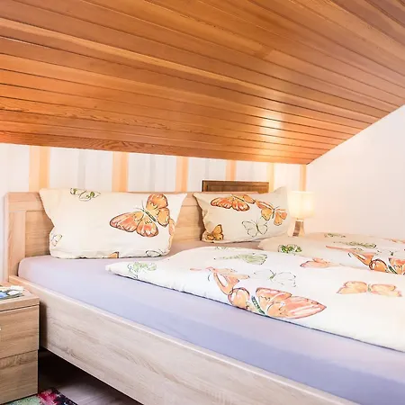 Haus Am Sonnenhuegel 公寓 *